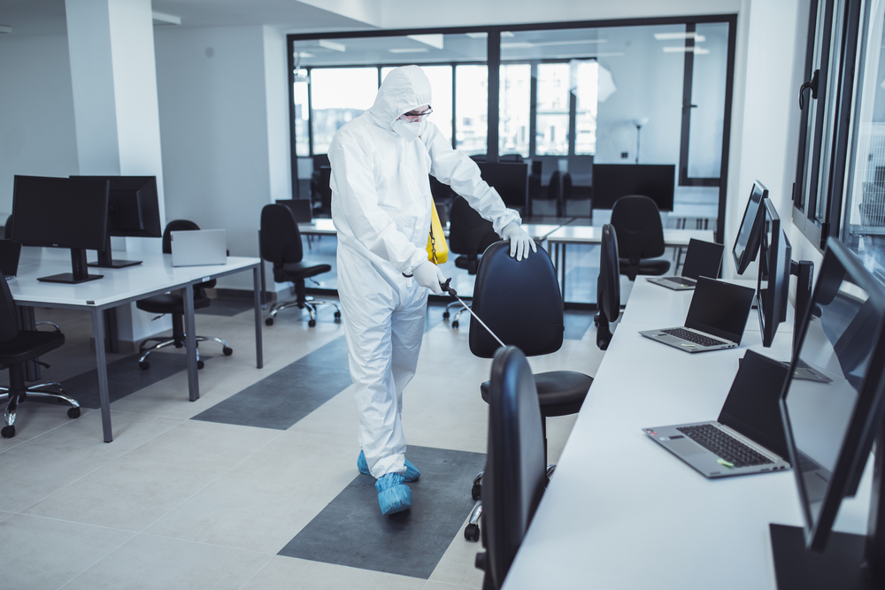 The Hidden Costs of Pest Infestations for Portland Businesses