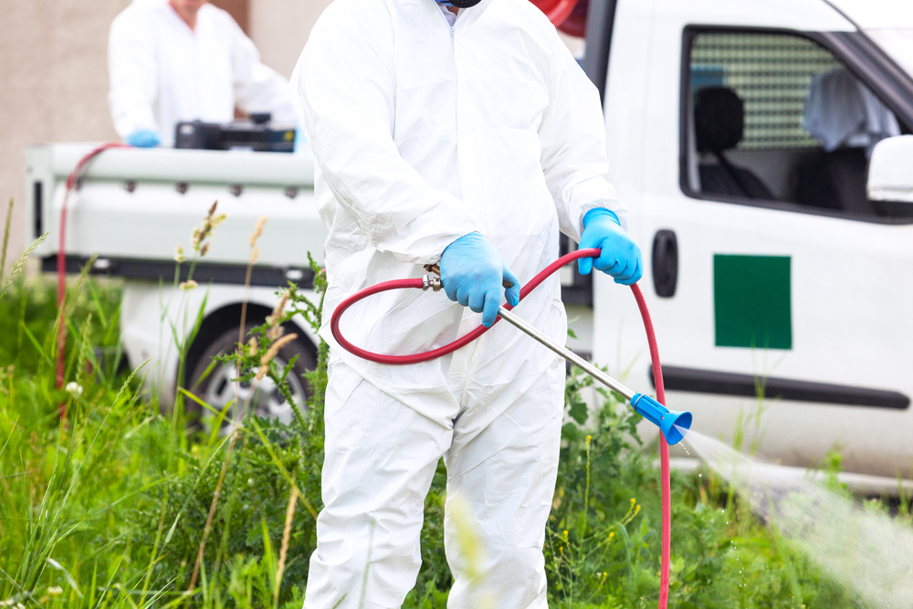 Why Clackamas County Businesses Should Prioritize Pest Control Year-Round