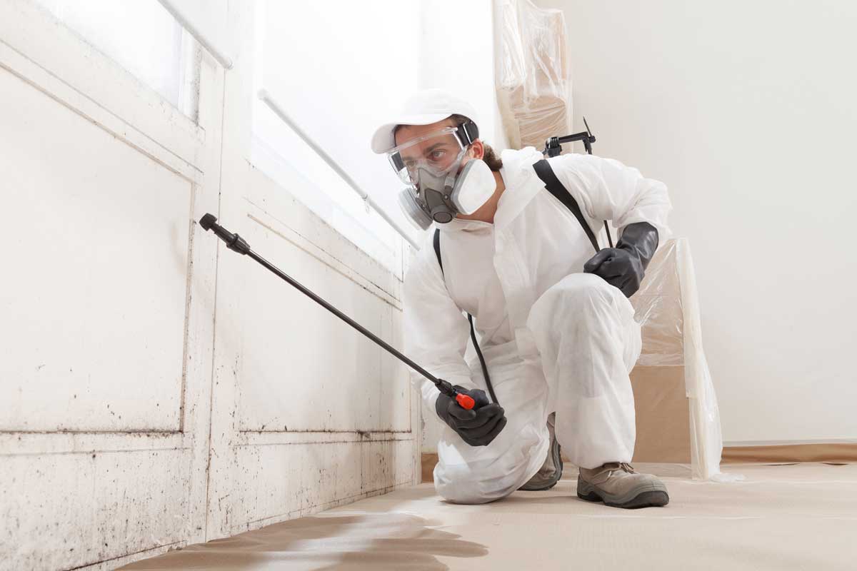 What to Expect from a Professional Pest Inspection in Portland, OR