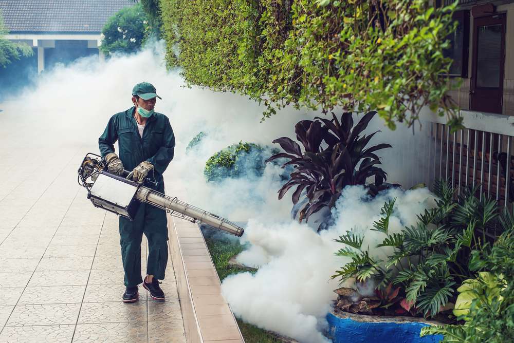 How Landscaping Choices Can Attract Pests to Portland Properties